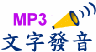 TTS文字發音MP3電子書